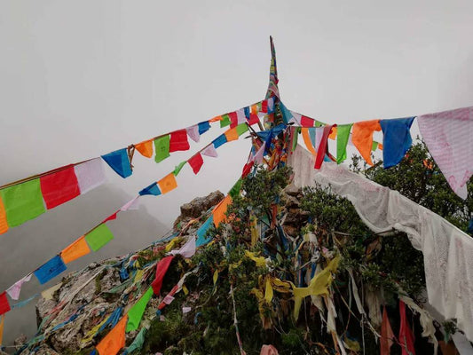 🕊️🙏 Celebrating Tibetan Universal Prayer Day! 🕊️🙏