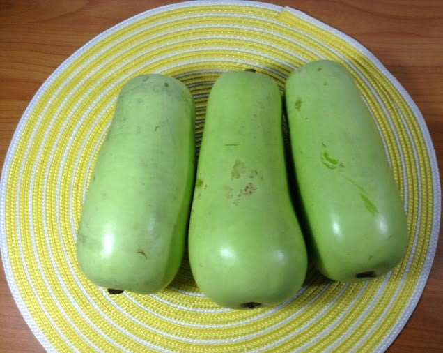 Food Donation - Bottle Gourd