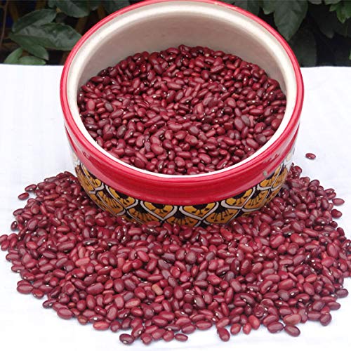 Food Offering - Ramja Dal (Kidney Beans)