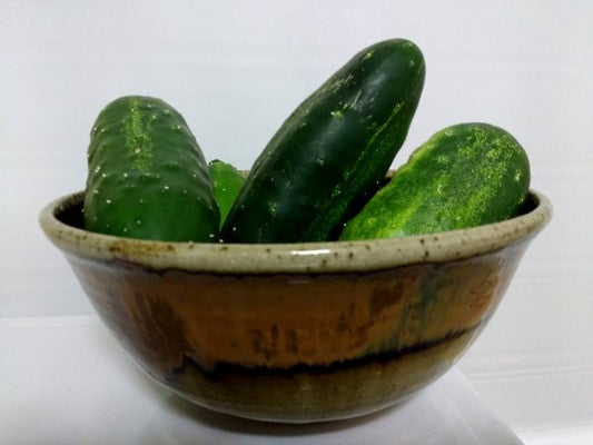 Food Donation - Cucumber