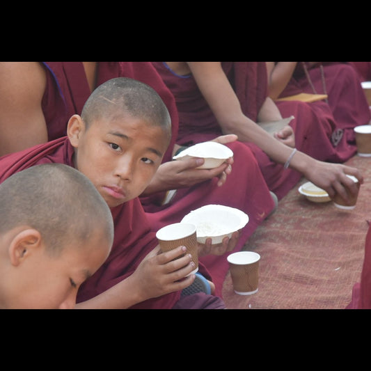Sponsor a Monk / Sangha