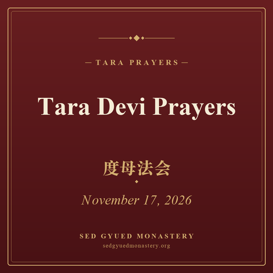 Tara Devi Prayers poster